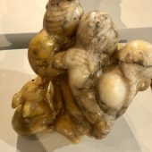 Coast Gallery Salt Spring Island - Artist Graham Pettman