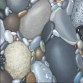 Coast Gallery Salt Spring Island British Columbia Canada - Artist Kristina Boardman