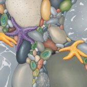 Coast Gallery Salt Spring Island British Columbia Canada - Artist Kristina Boardman