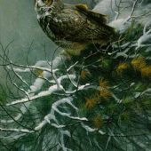 Coast Gallery Salt Spring Island - Robert Bateman