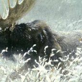 Coast Gallery Salt Spring Island - Robert Bateman