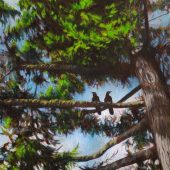 Coast Gallery Salt Spring Island - Artist Joyce Upex