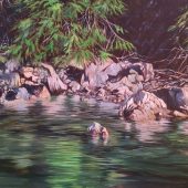 Coast Gallery Salt Spring Island - Artist Joyce Upex