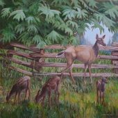 Coast Gallery Salt Spring Island - Artist Joyce Upex