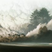 Coast Gallery Salt Spring Island British Columbia Canada - Artist Stacey Bodnaruk