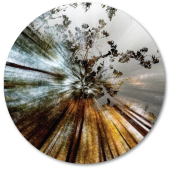 Coast Gallery Salt Spring Island British Columbia Canada - Artist Stacey Bodnaruk