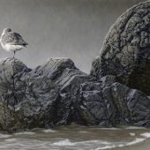 Coast Gallery Salt Spring Island - Artist W. ALLAN HANCOCK