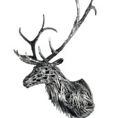 Coast Gallery Salt Spring Island - Carl Sean McMahon
